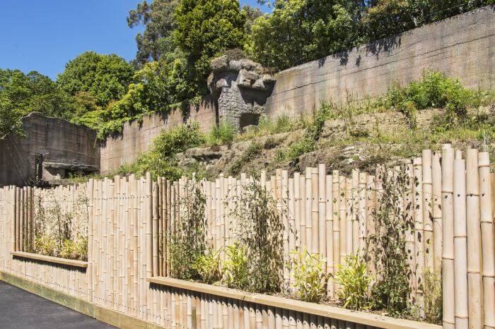 Read more about the article Wellington Zoo Asia Precinct